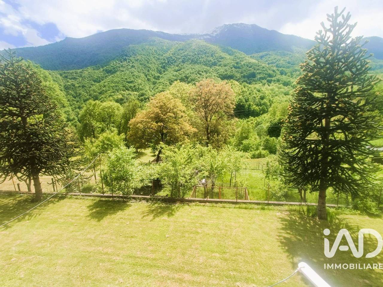 immagine annuncio 12 di 15