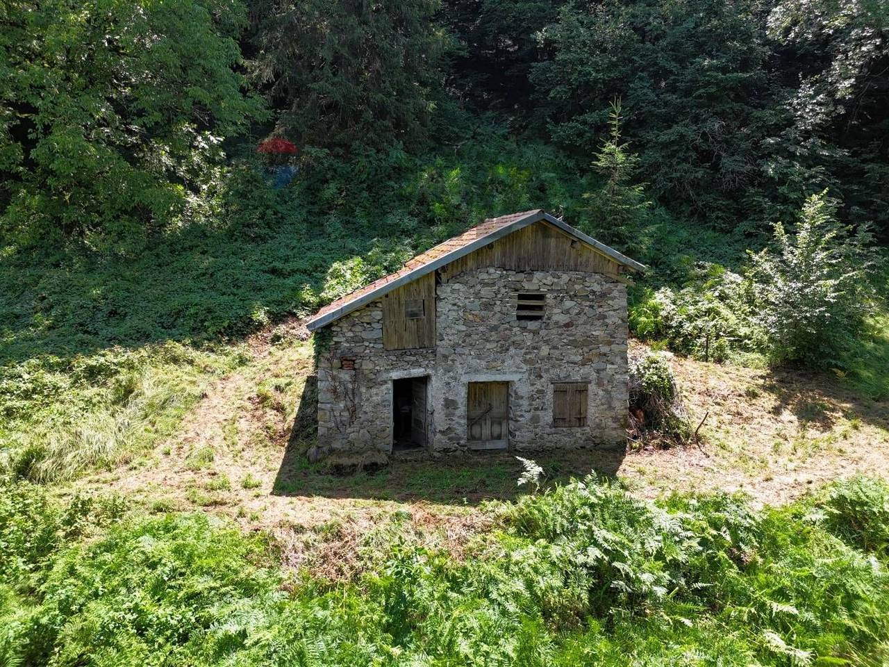 immagine annuncio 12 di 15