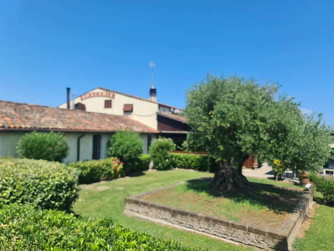 Ristorante in Via Romea 47, Comacchio, {3} - Foto 1