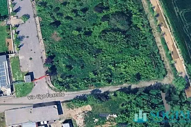 insertion image