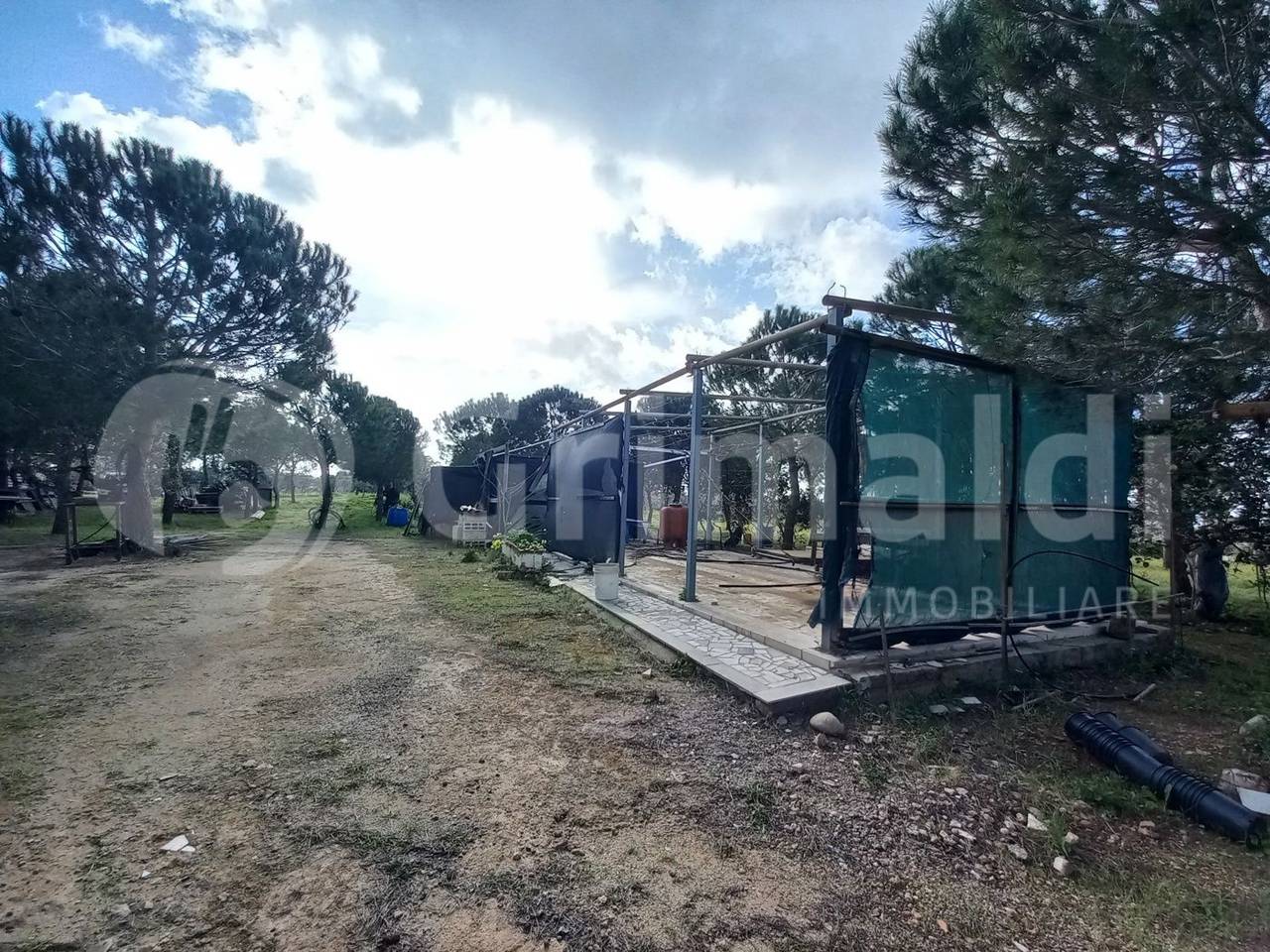 immagine annuncio 9 di 15