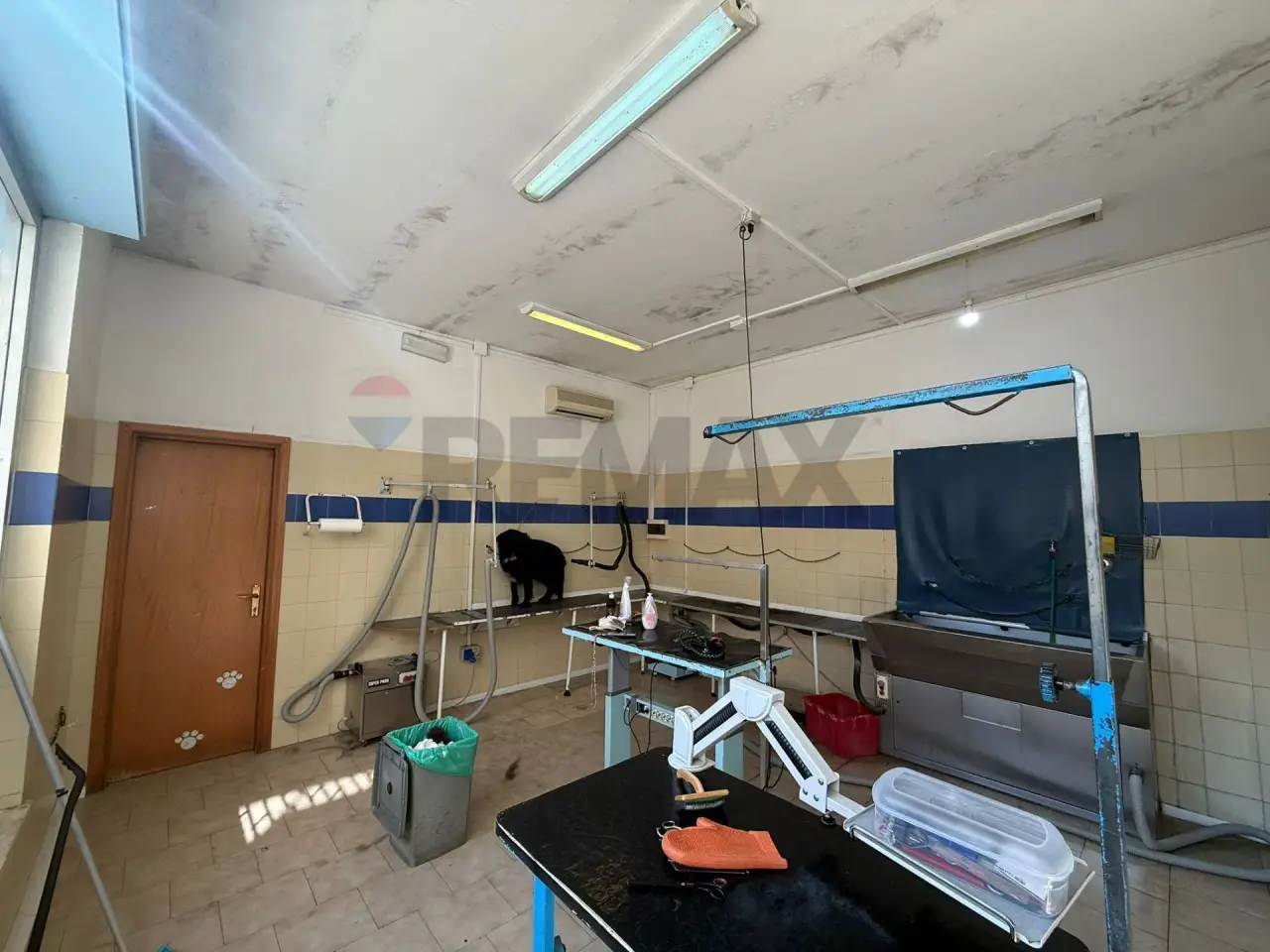 Negozio in Via dei Girasoli 29, Guidonia Montecelio, {3} - Foto 1