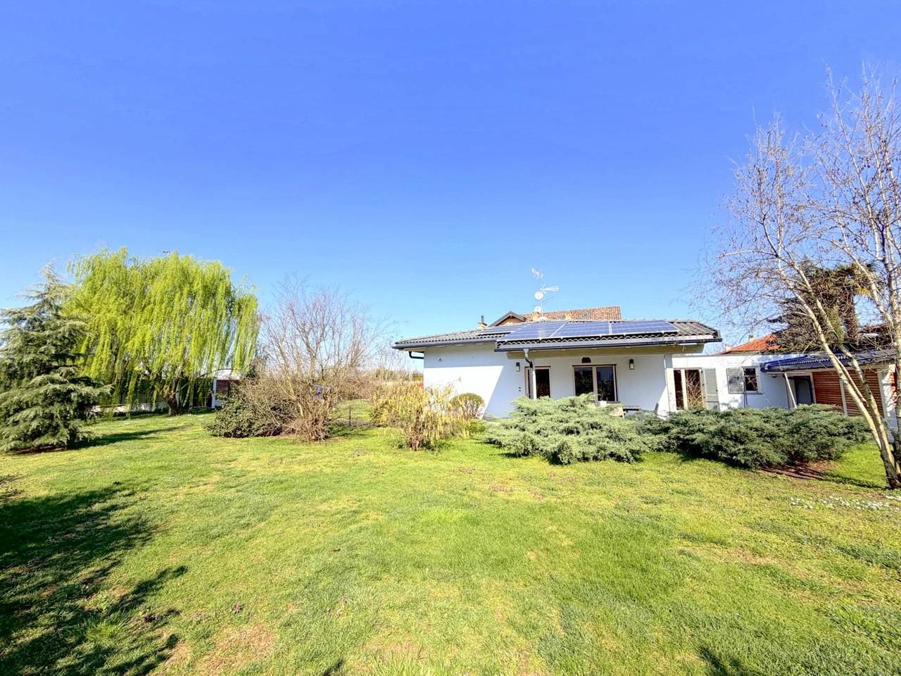 immagine annuncio 4 di 15