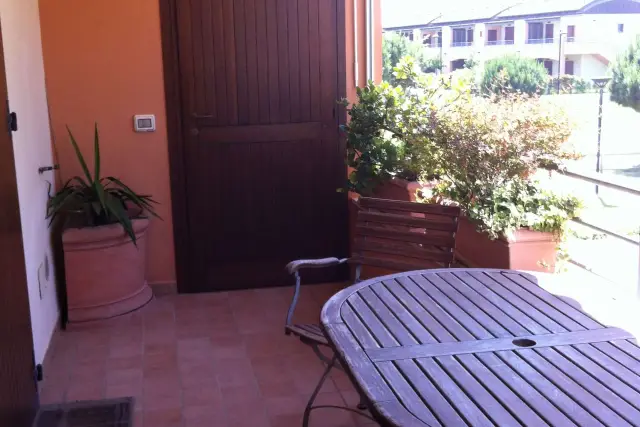 insertion image
