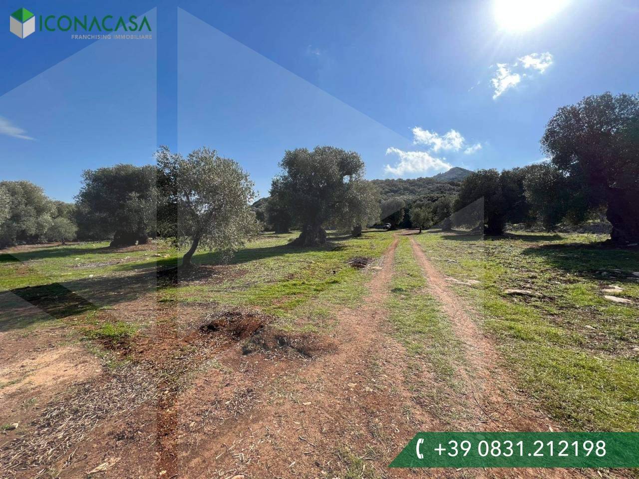 immagine annuncio 4 di 9