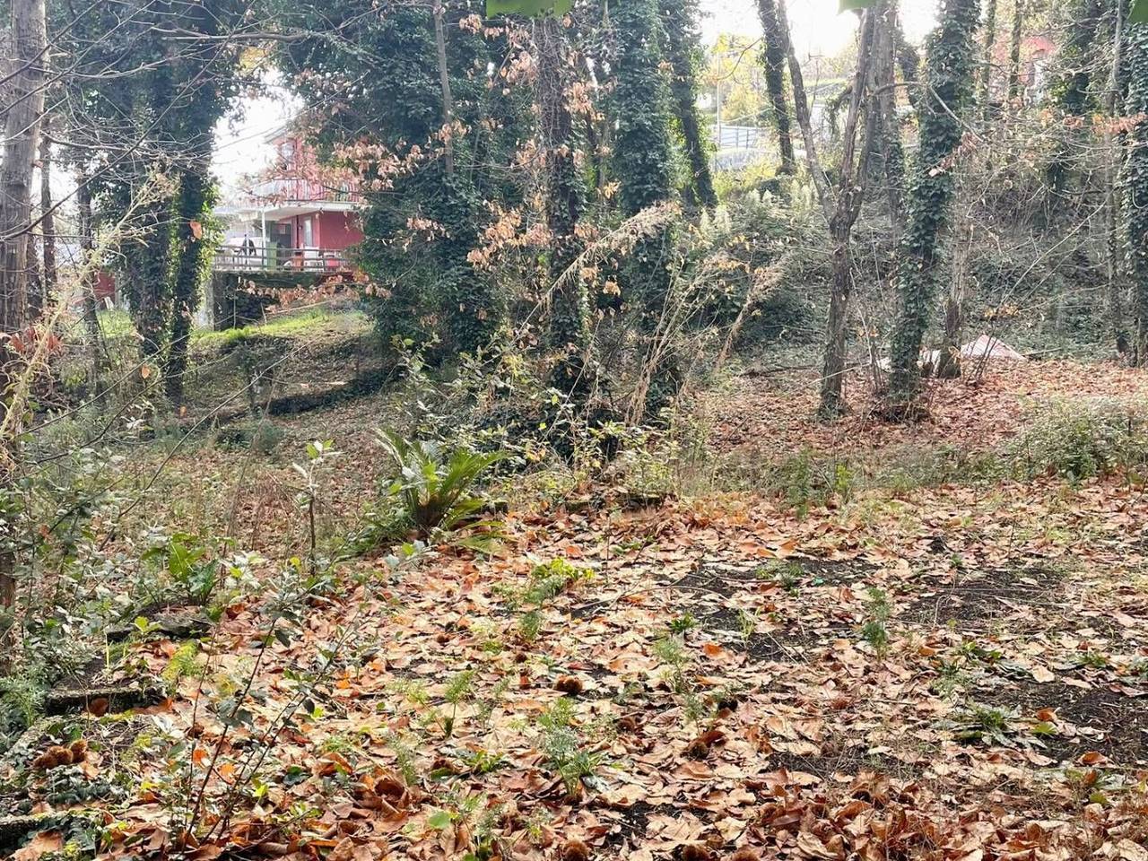 immagine annuncio 12 di 13