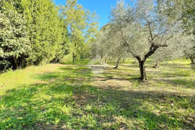 Agrargrundstück in Via Rioli, Velletri - Foto 1