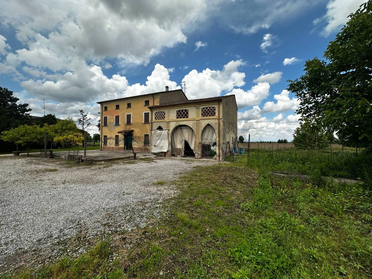 immagine annuncio 1 di 14