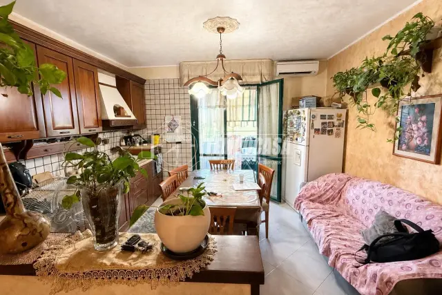 insertion image