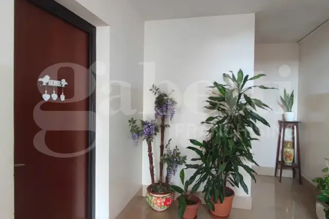 Apartament, Taurisano - Photo 1