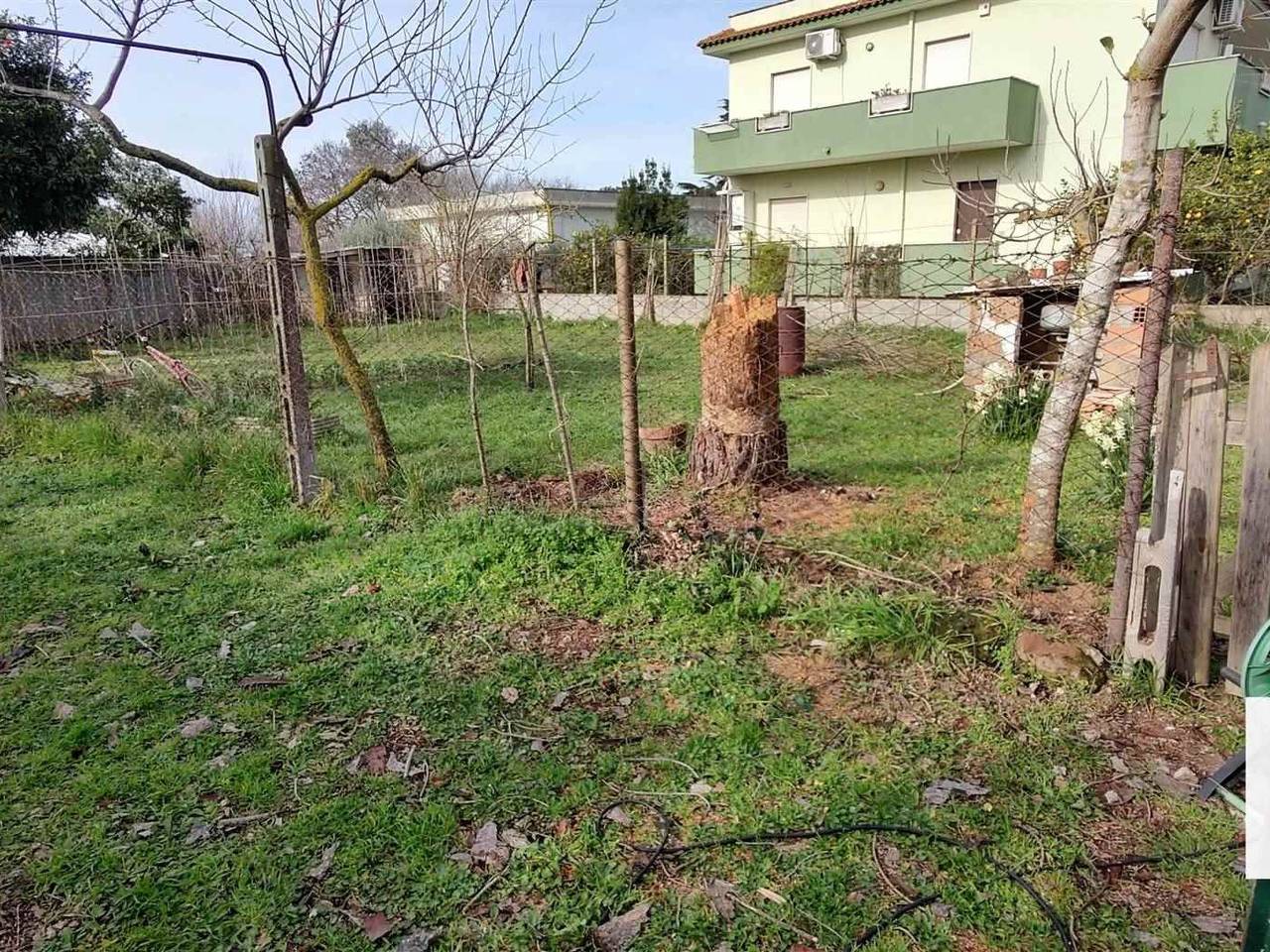 immagine annuncio 3 di 6