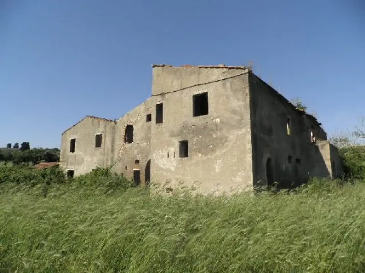 Azienda agricola in , Rosignano Marittimo, {3} - Foto 2
