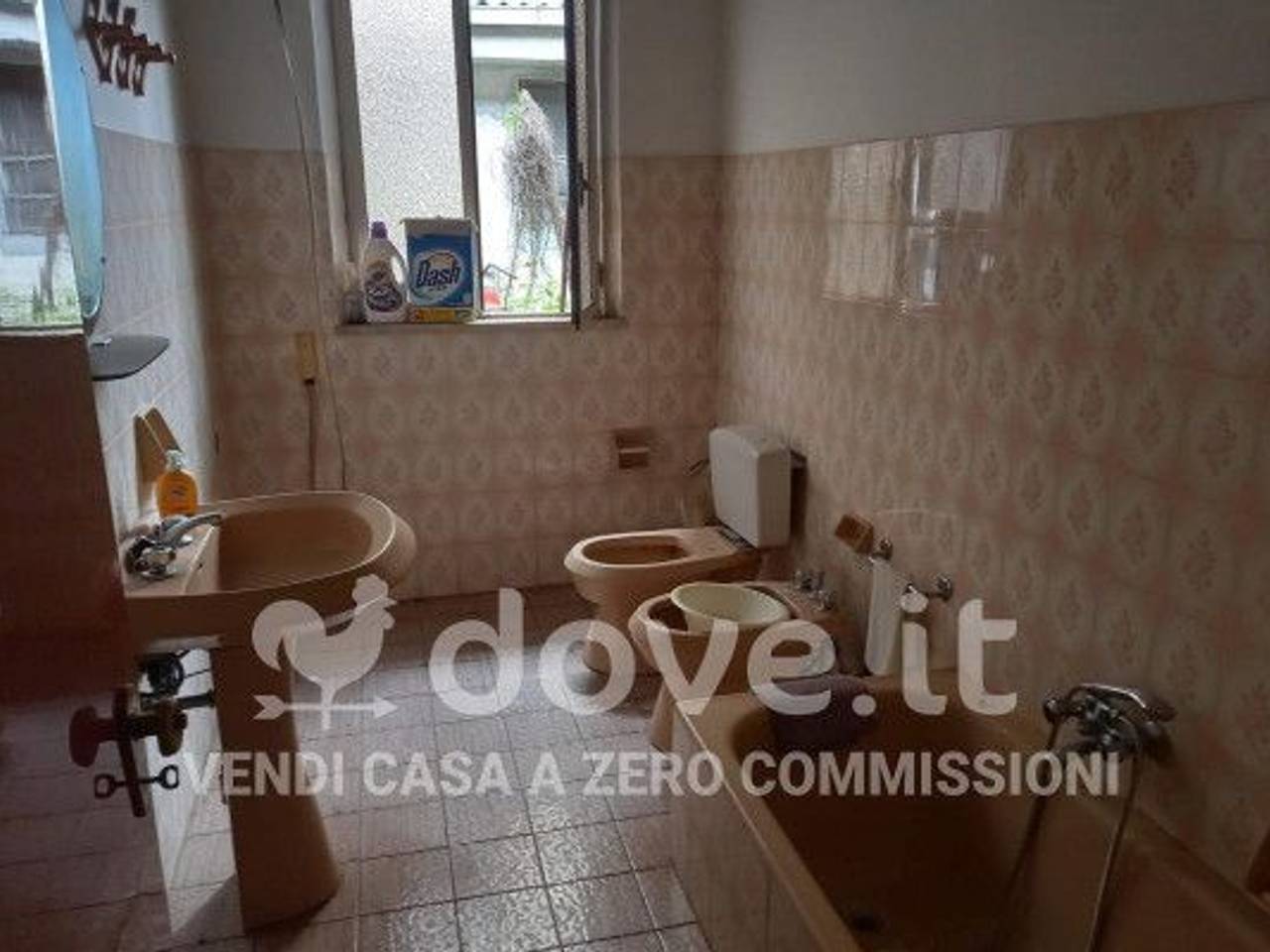 immagine annuncio 3 di 8