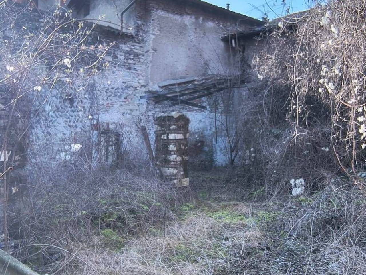 immagine annuncio 5 di 11