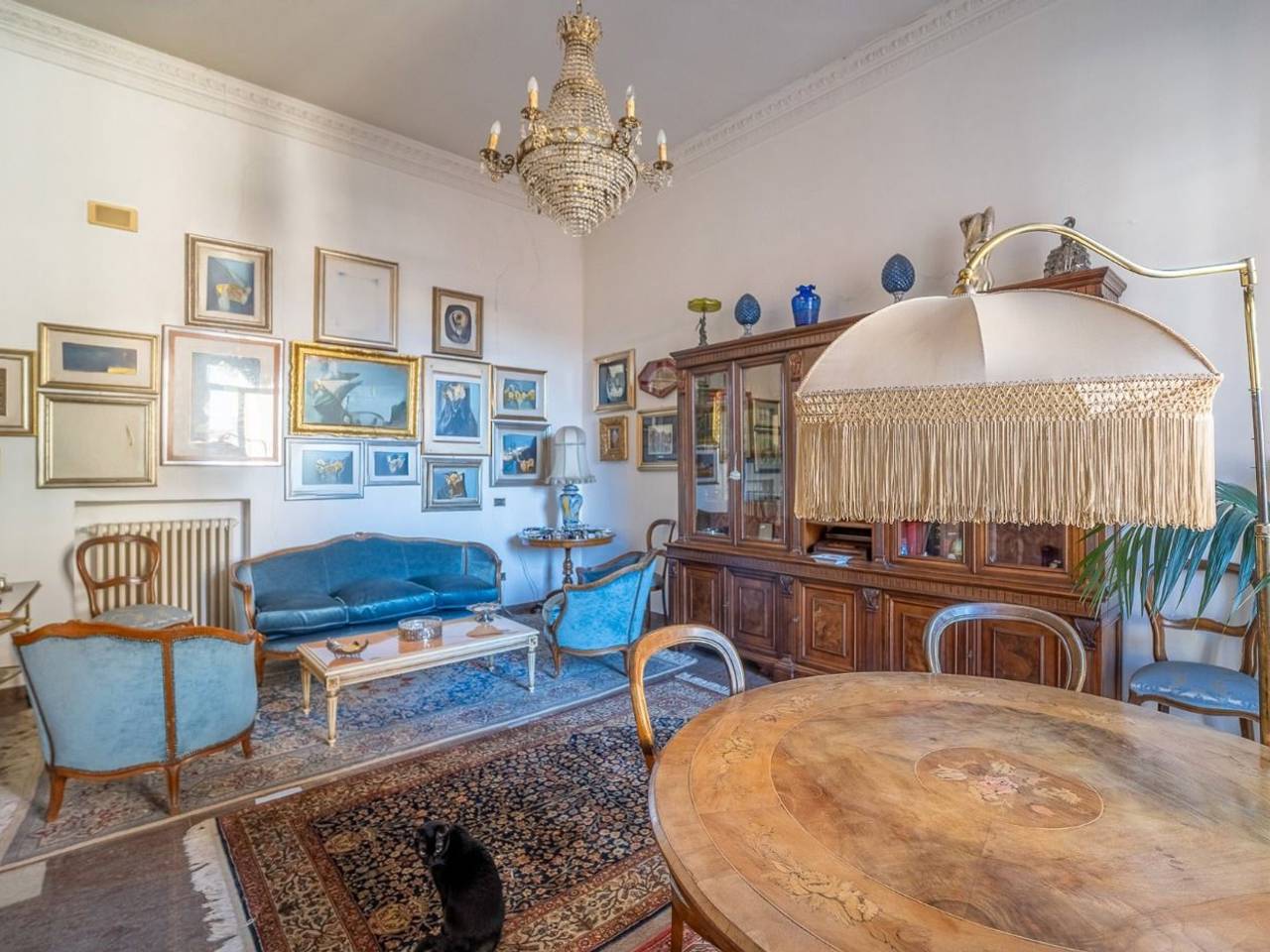 immagine annuncio 5 di 15