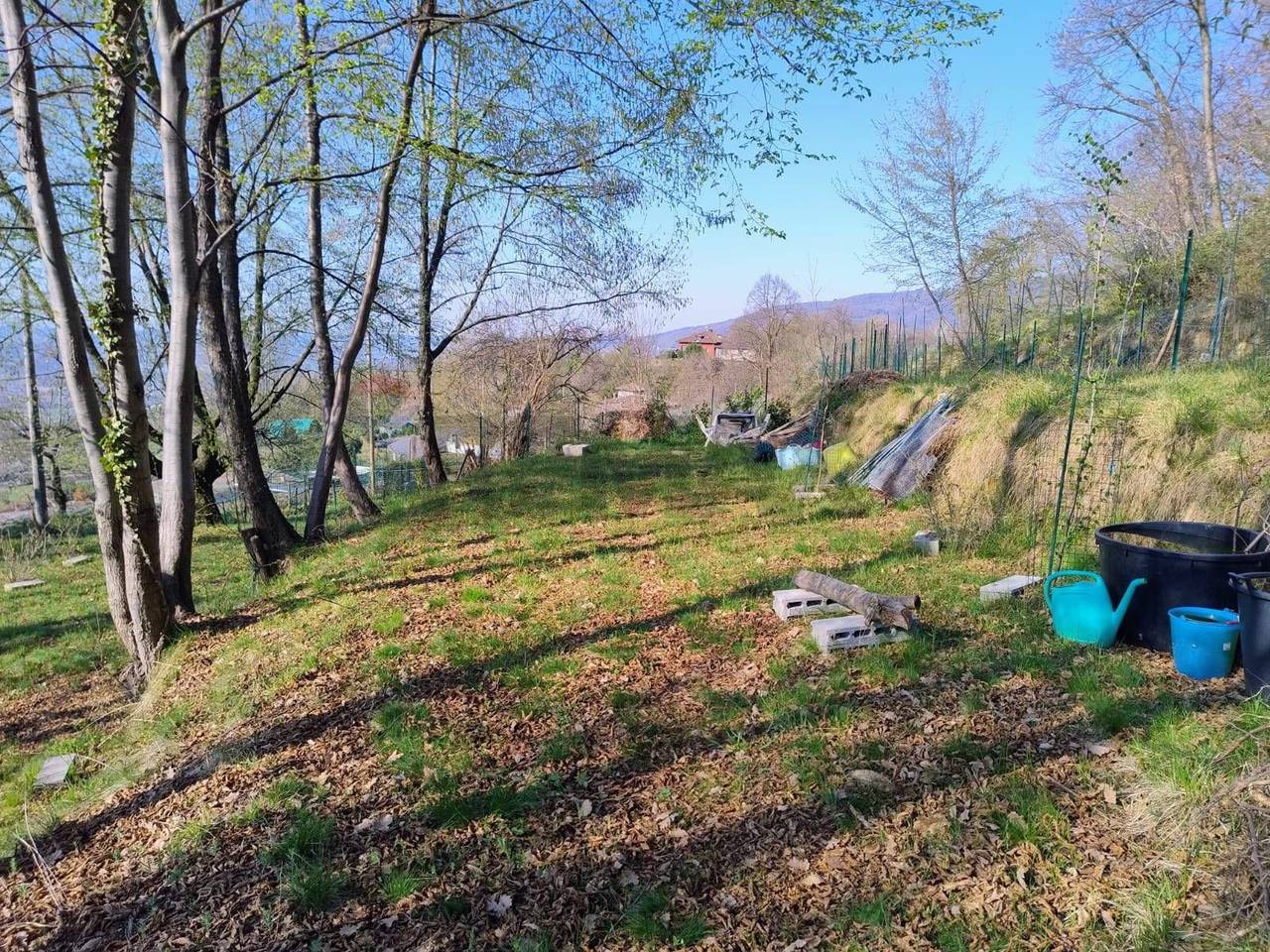 immagine annuncio 6 di 11