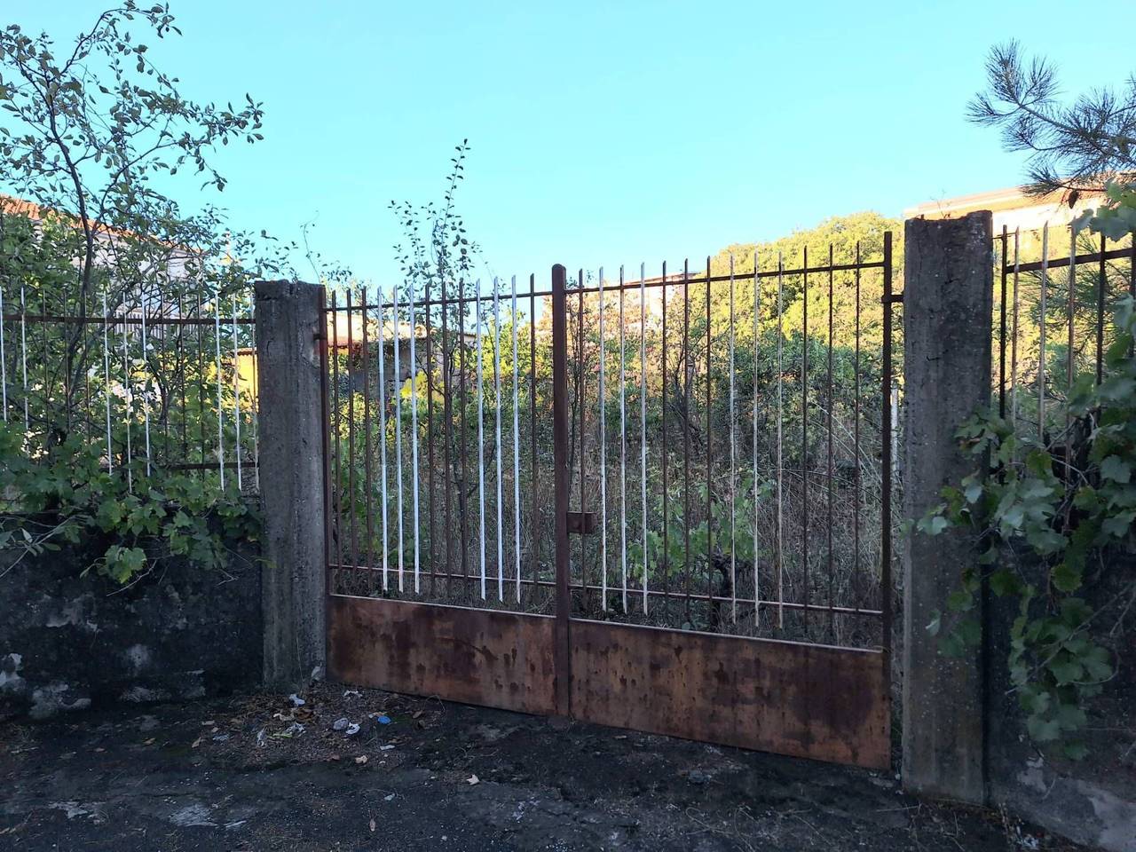 immagine annuncio 4 di 6