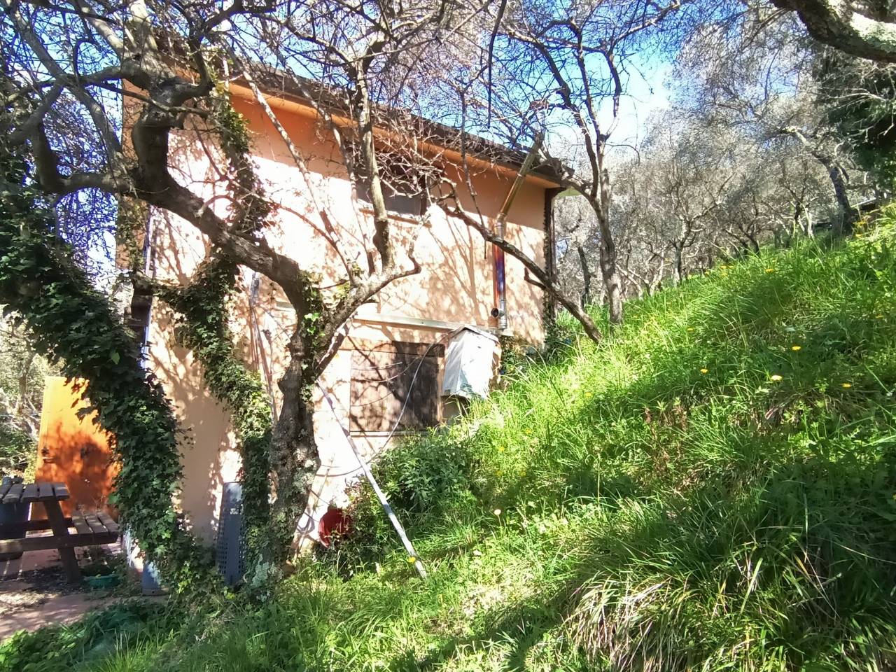 immagine annuncio 3 di 15