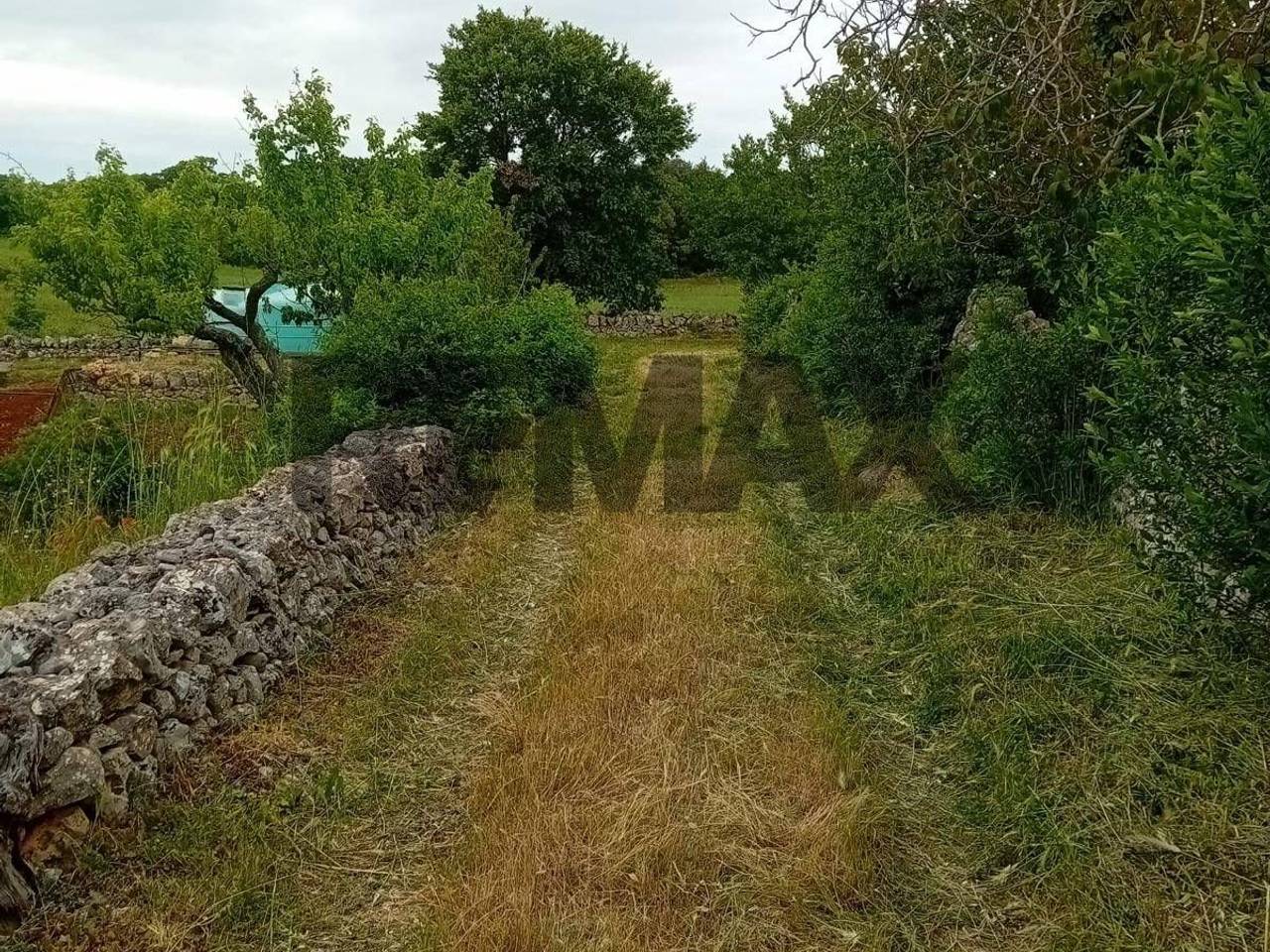 immagine annuncio 9 di 11