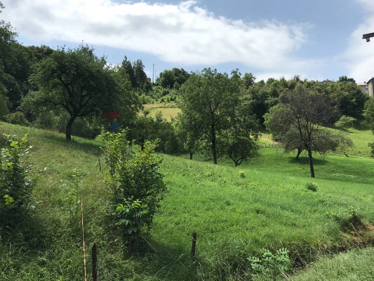 immagine annuncio 2 di 7