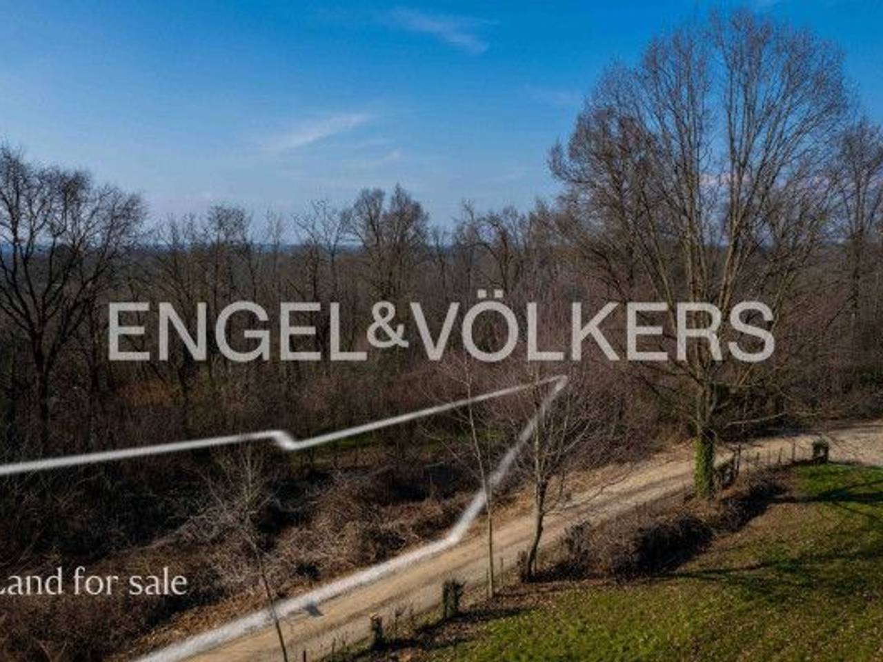 immagine annuncio 6 di 8