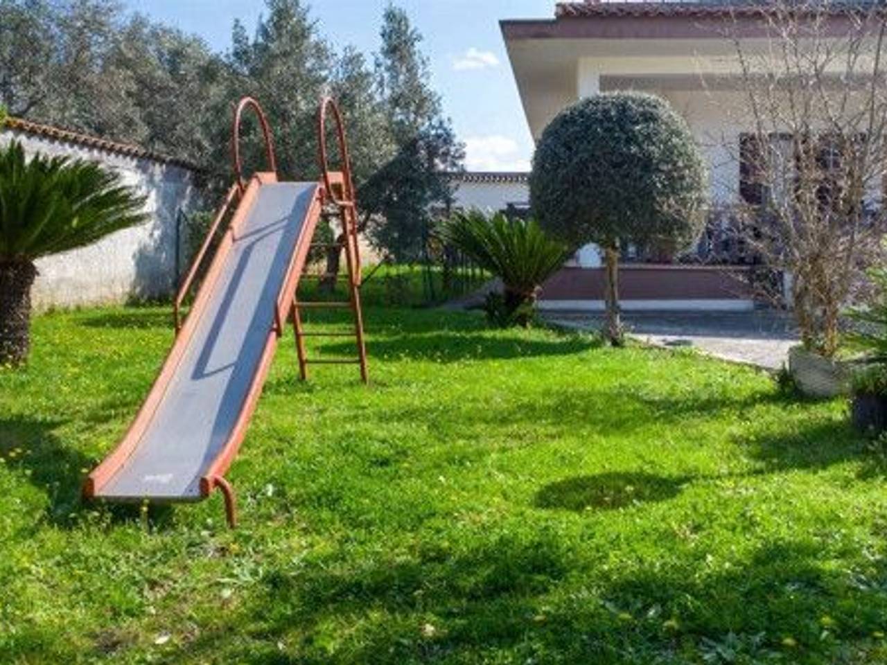 immagine annuncio 6 di 15