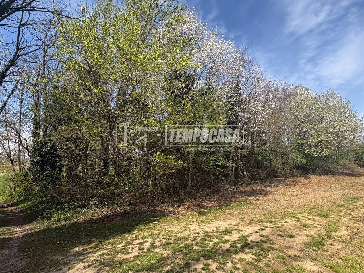 immagine annuncio 5 di 7