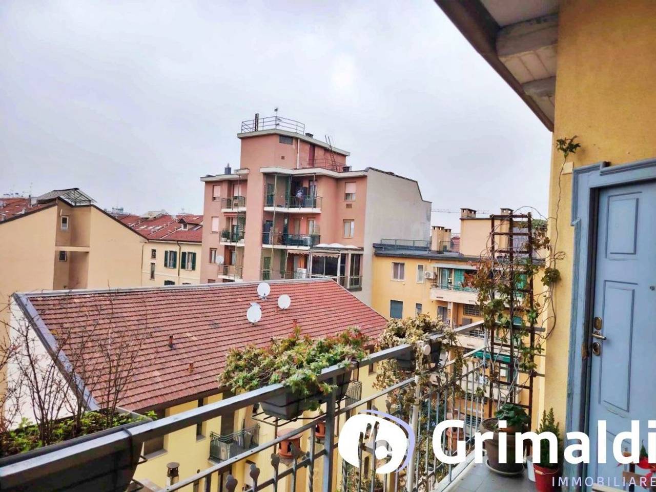 immagine annuncio 11 di 15