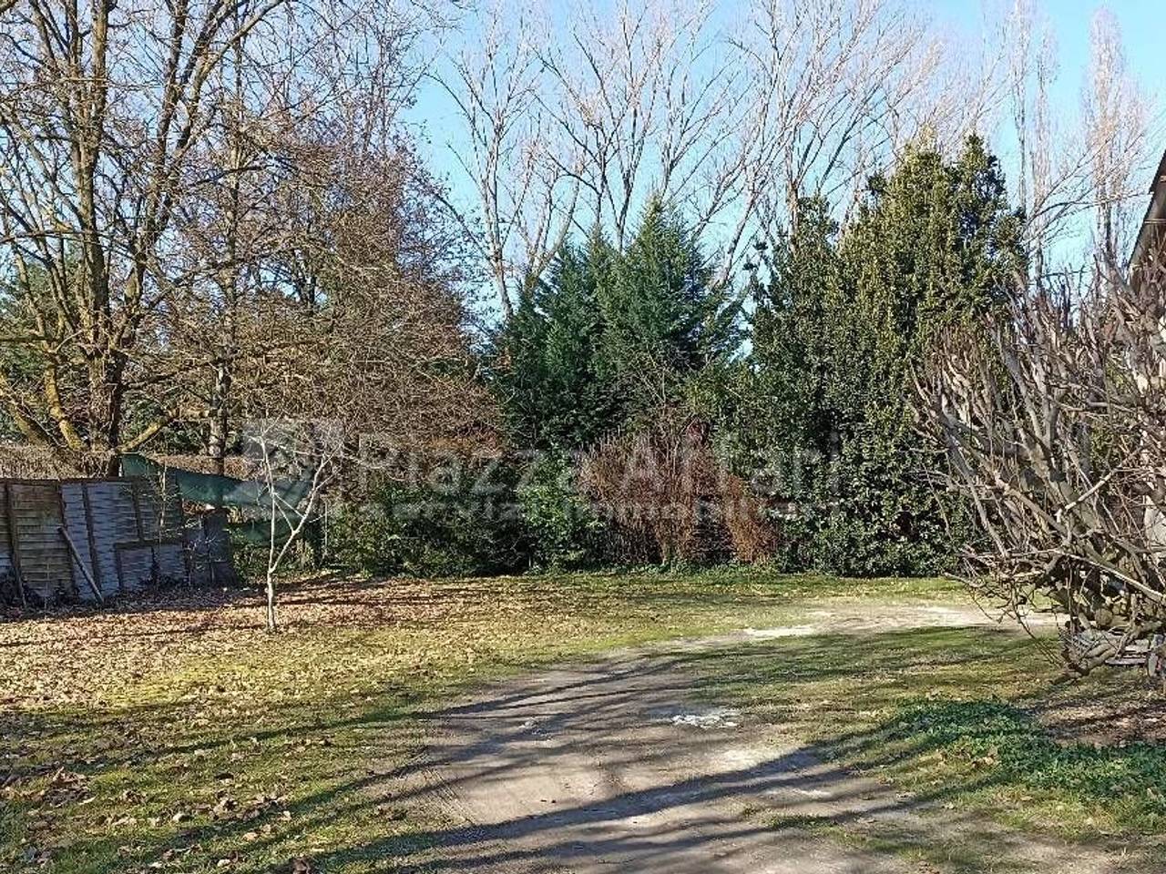 immagine annuncio 7 di 13