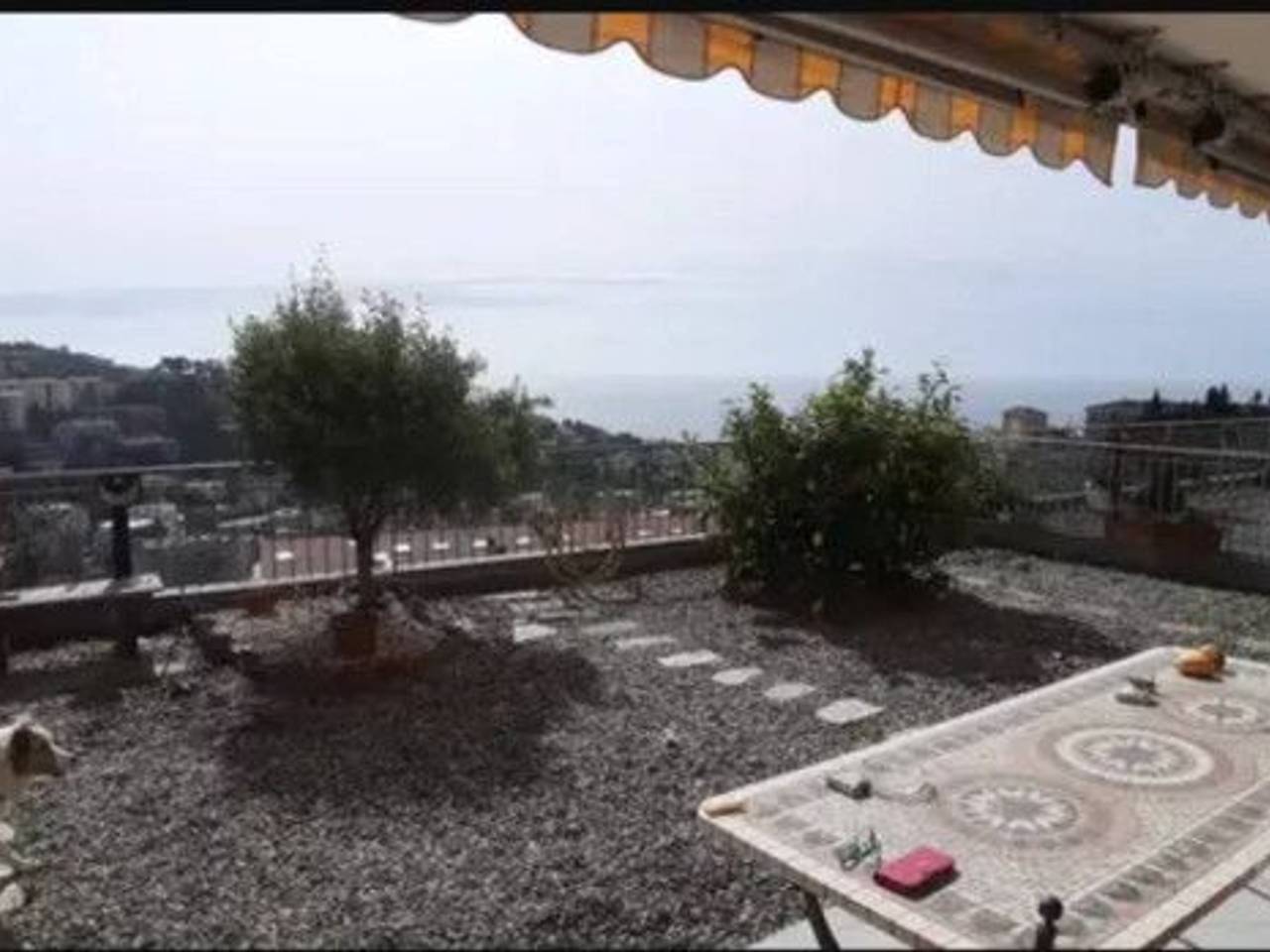 immagine annuncio 2 di 4