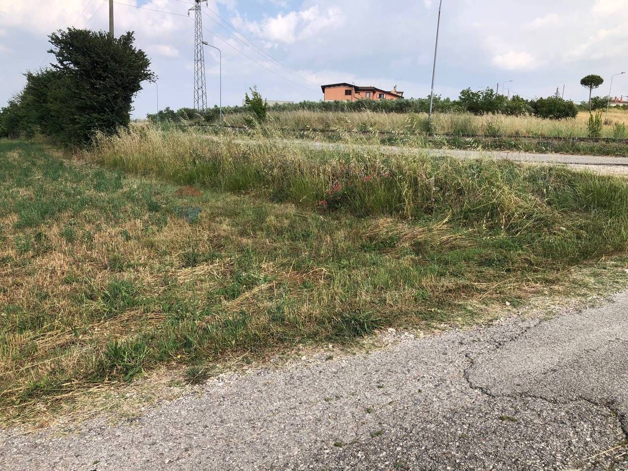 immagine annuncio 6 di 12