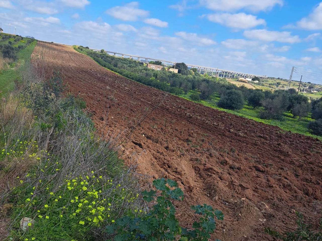 immagine annuncio 1 di 6