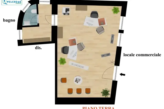 insertion image