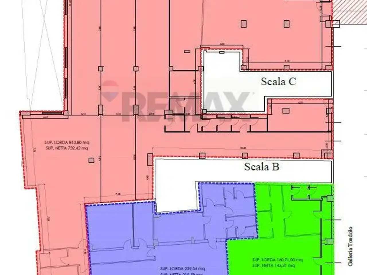 Negozio in , Andria, {3} - Planimetria 1