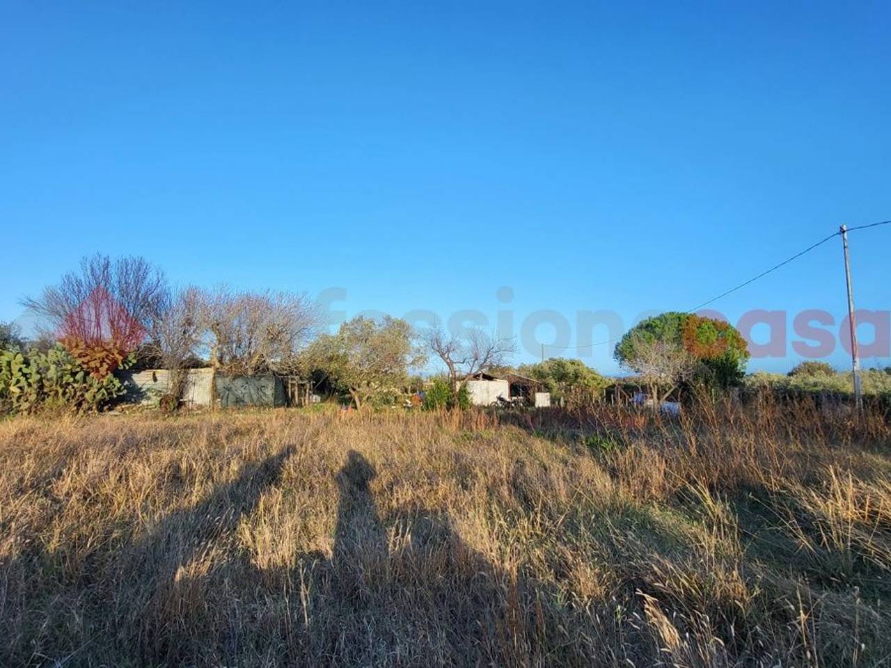 immagine annuncio 10 di 11