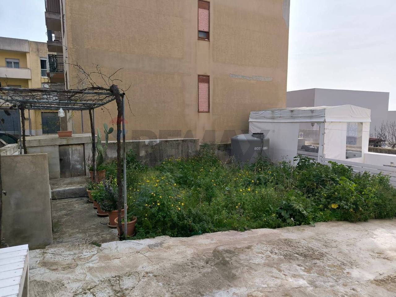 immagine annuncio 11 di 14