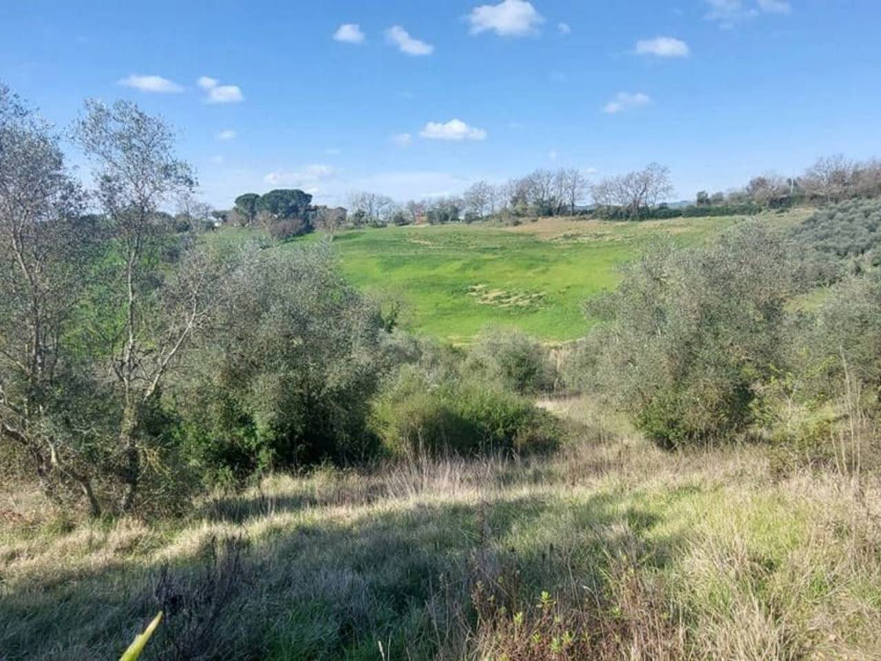 immagine annuncio 1 di 9