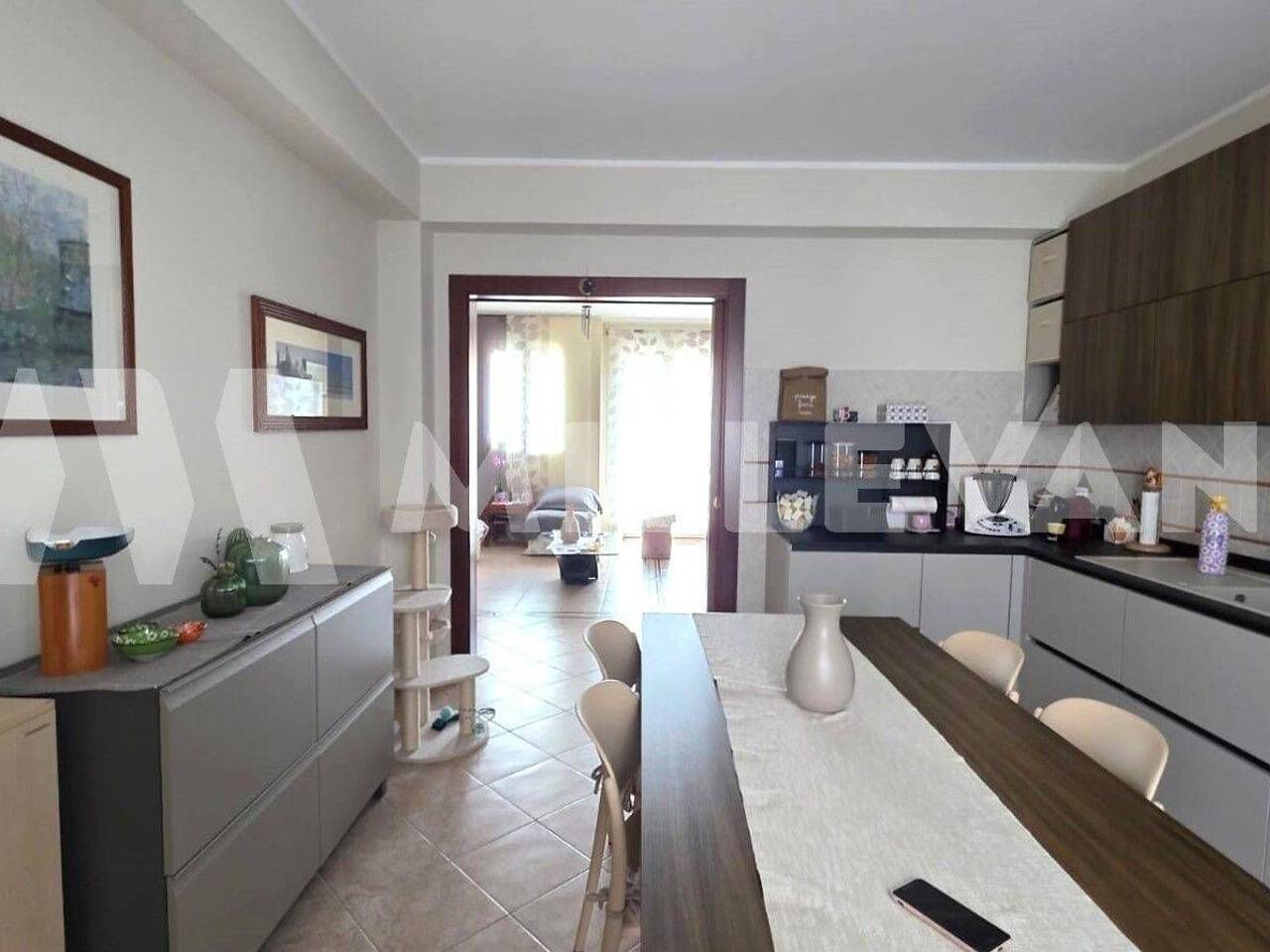 immagine annuncio 5 di 14