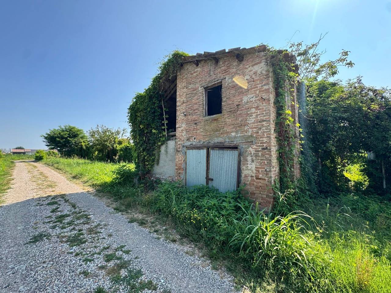immagine annuncio 9 di 13