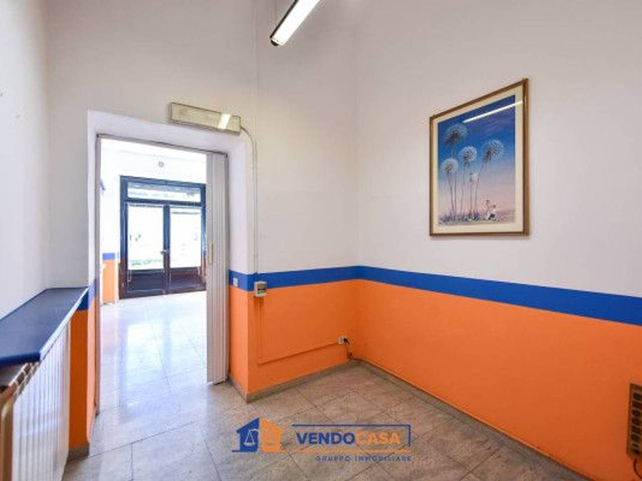 immagine annuncio 8 di 14