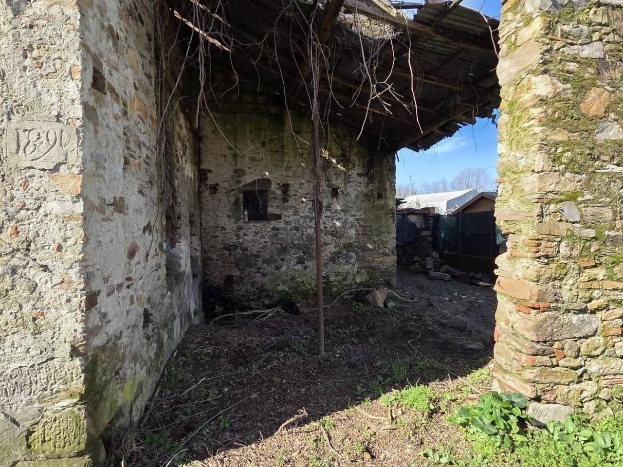 immagine annuncio 6 di 15