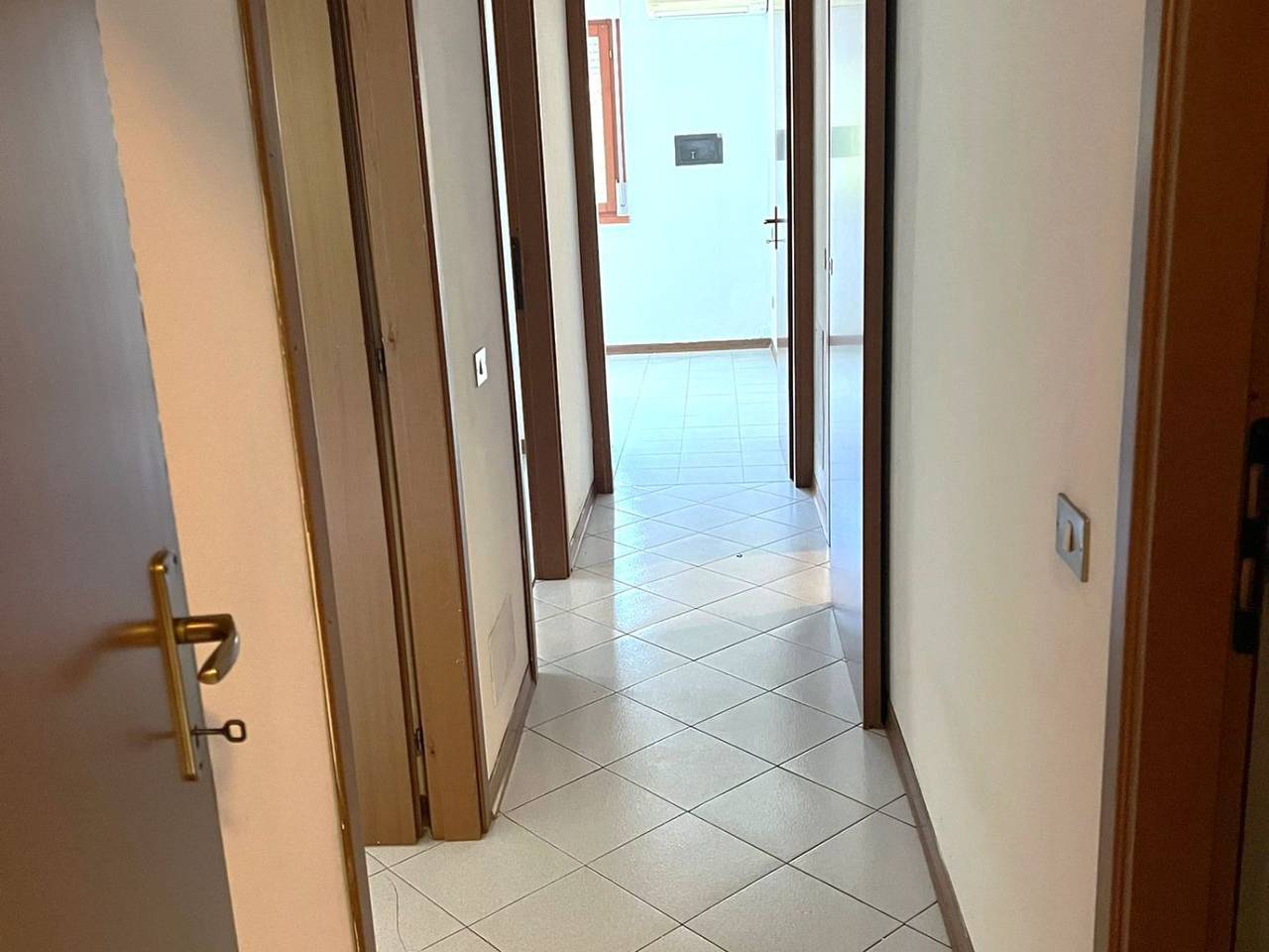 immagine annuncio 9 di 14