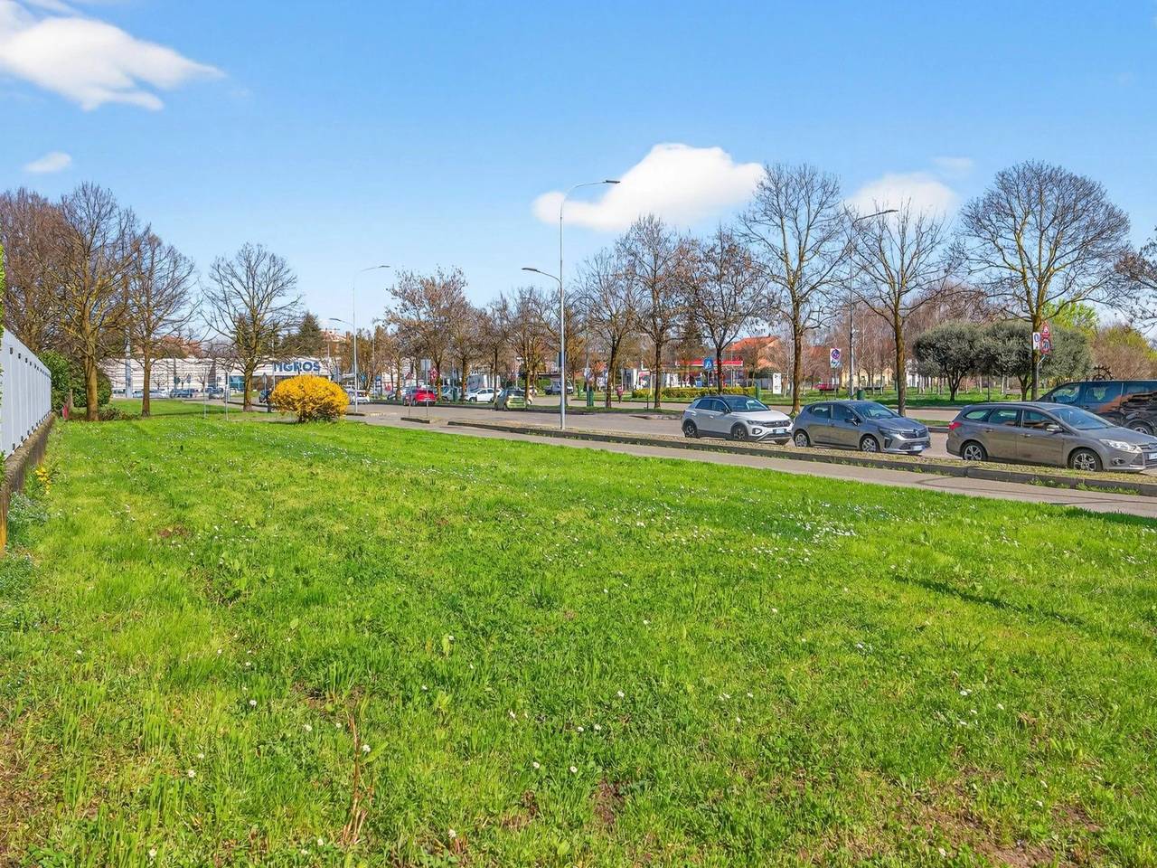 immagine annuncio 13 di 15