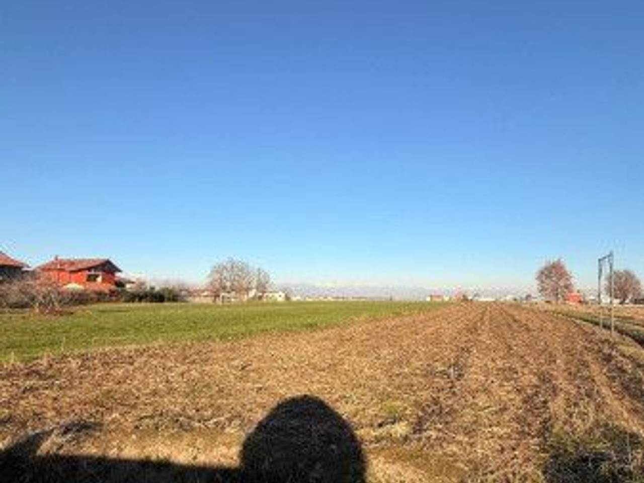 immagine annuncio 5 di 7