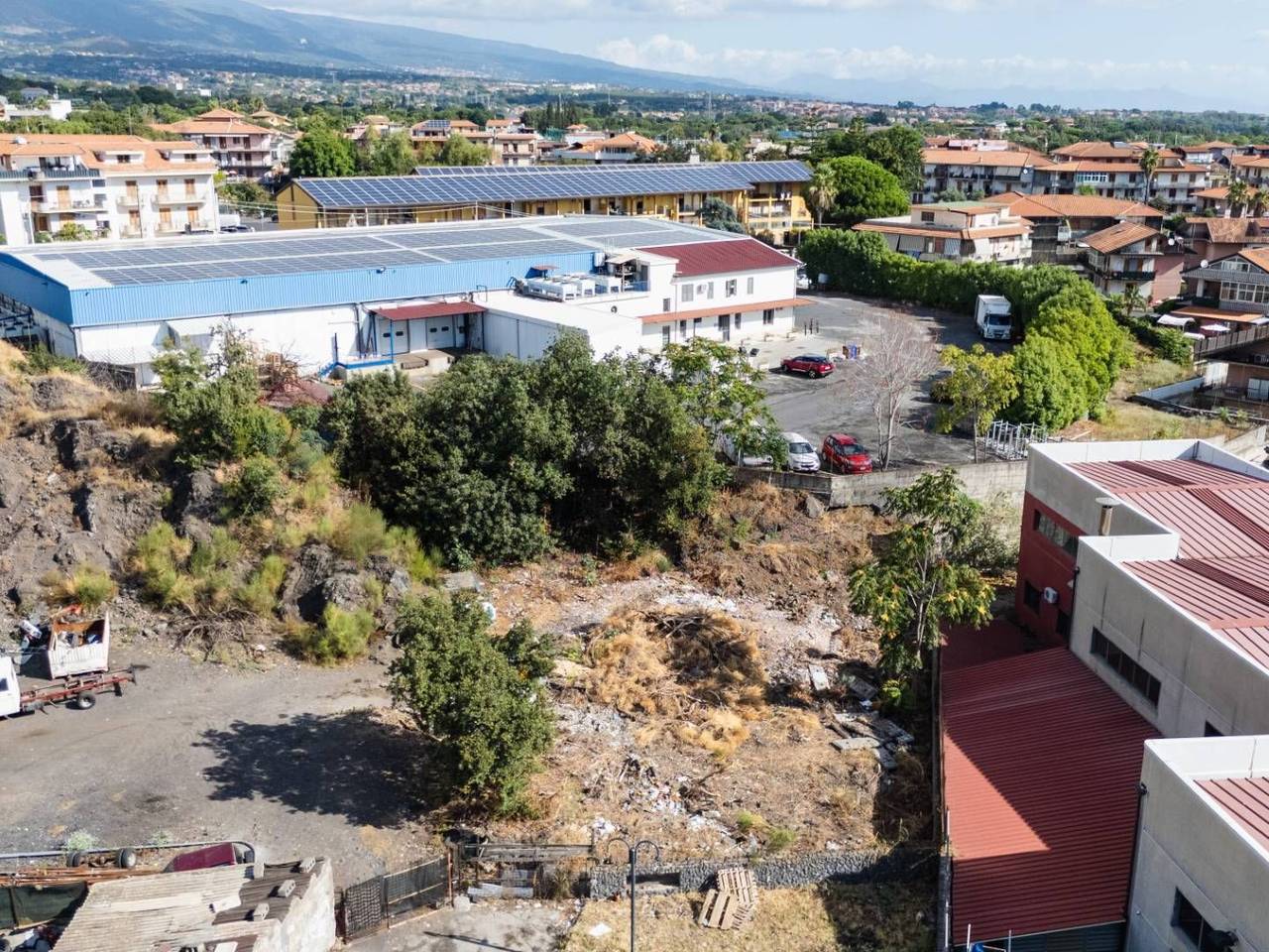 immagine annuncio 3 di 13