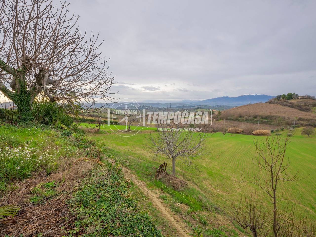 immagine annuncio 4 di 7