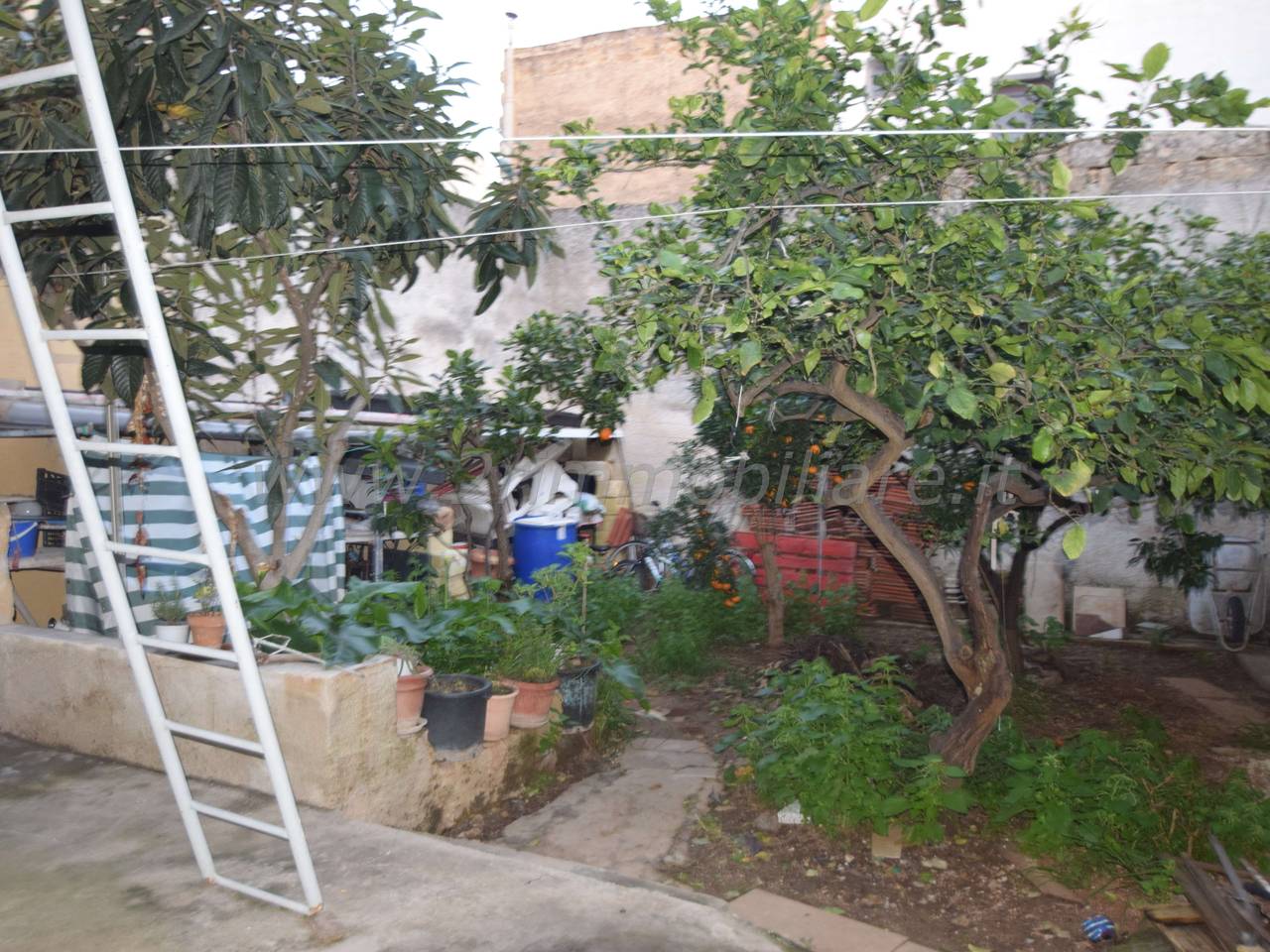 immagine annuncio 8 di 14