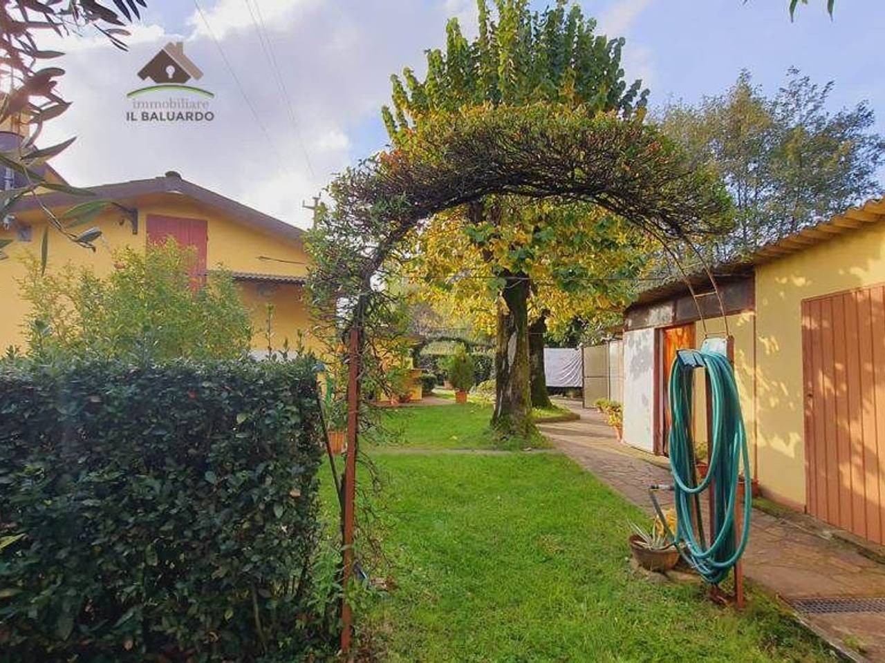 immagine annuncio 5 di 15