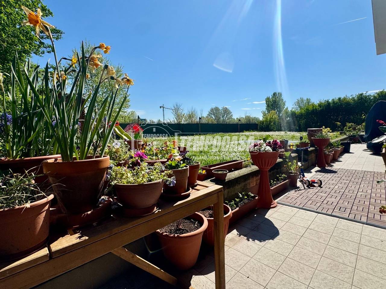 immagine annuncio 4 di 15