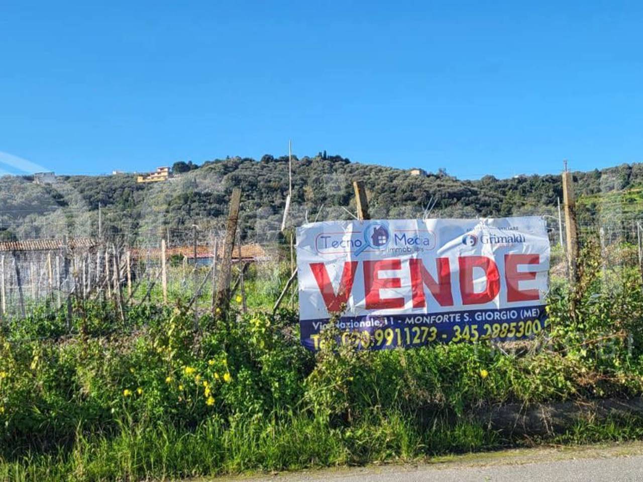 immagine annuncio 4 di 7